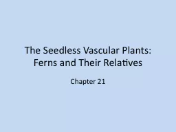 The Seedless Vascular Plants: Ferns and Their Relatives