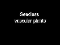Seedless vascular plants