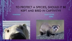To protect a species, should it be kept and bred in captivi