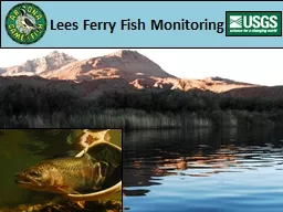 Lees Ferry Fish Monitoring
