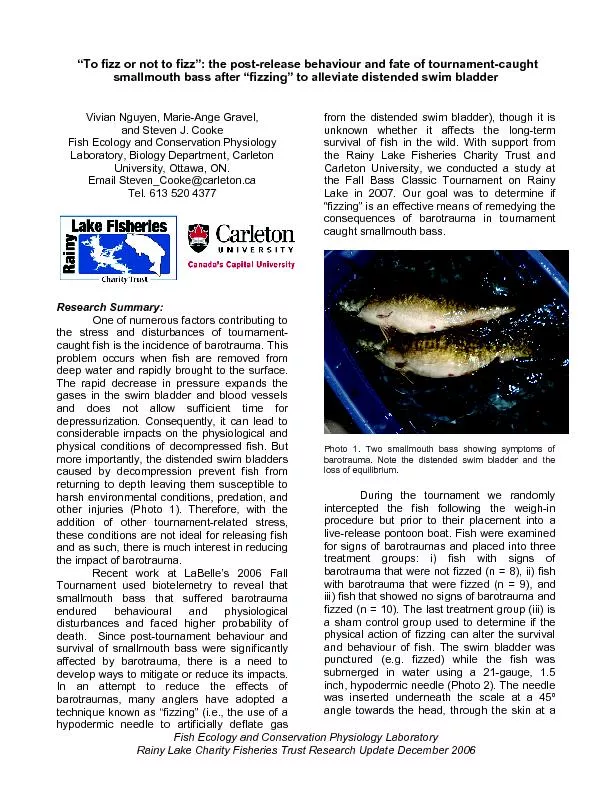 Fish Ecology and Conservation Physiology Laboratory Rainy Lake Charity