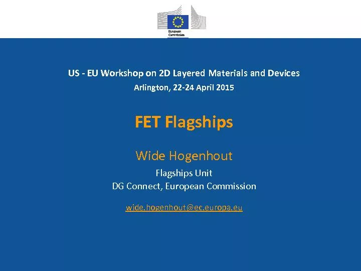 EU Workshop on 2D Layered Materials and Devices