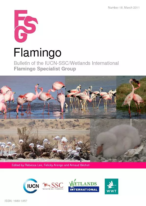 Bulletin of the IUCN-SSC/Wetlands International  Flamingo Specialist G