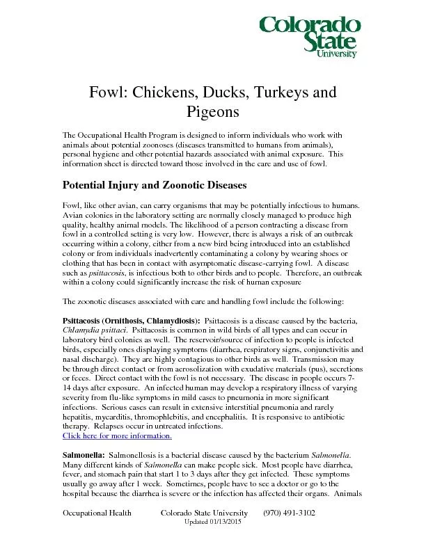 Fowl: Chickens, Ducks, Turkeys and PigeonsThe Occupational Health Prog