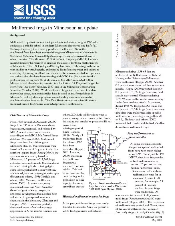 Malformed frogs in Minnesota: an update