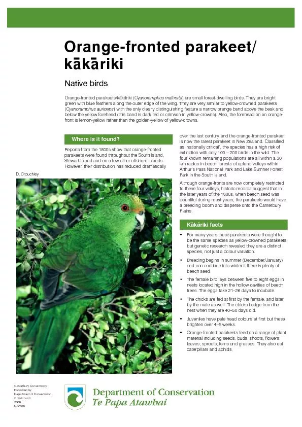 Published byOrange-fronted parakeet/kakariki