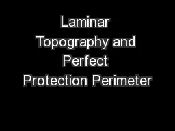 Laminar Topography and Perfect Protection Perimeter
