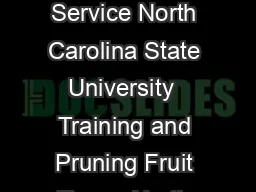Training and Pruning Fruit Trees North Carolina Cooperative Extension Service North Carolina State University  Training and Pruning Fruit Trees  North Carolina Cooperative Extension Service any fruit