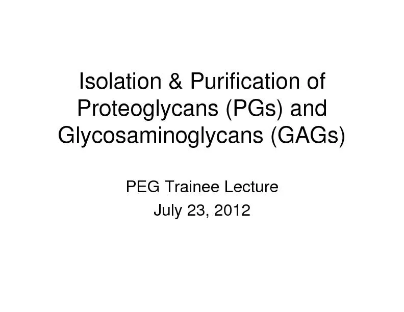 Proteoglycans (PGs) and
