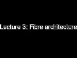 Lecture 3: Fibre architecture