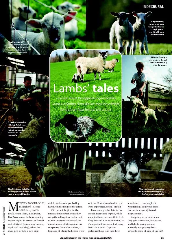 ERVYN WOODROOFEis shepherd to some1,000 sheep on OldBrick House Farm,i