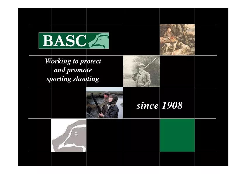 Working to protect and promote sporting shooting