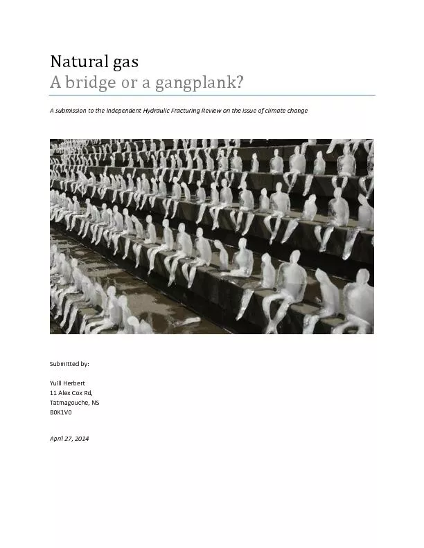 A bridge or a gangplank