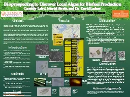 Bioprospecting to Discover Local Algae for Biofuel Producti