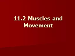 11.2 Muscles and