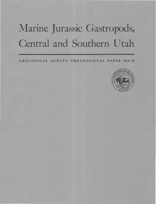 Marine Jurassic Gastropods,
