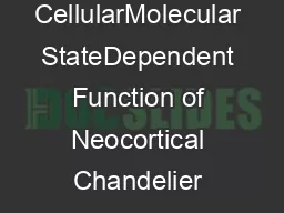 CellularMolecular StateDependent Function of Neocortical Chandelier Cells Alan R