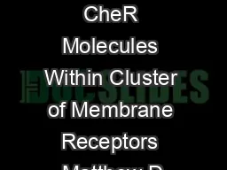 Binding and Diffusion of CheR Molecules Within Cluster of Membrane Receptors Matthew D