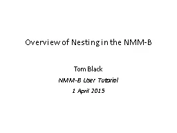 Overview of Nesting in the NMM-B