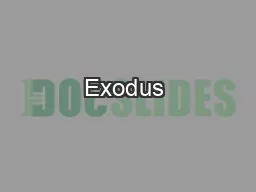 Exodus & Wandering in the Wilderness