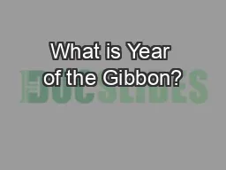 What is Year of the Gibbon?