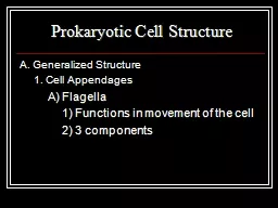 Prokaryotic Cell Structure