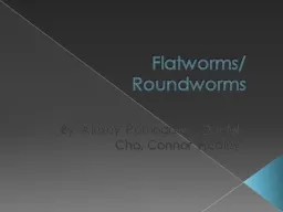 Flatworms/ Roundworms
