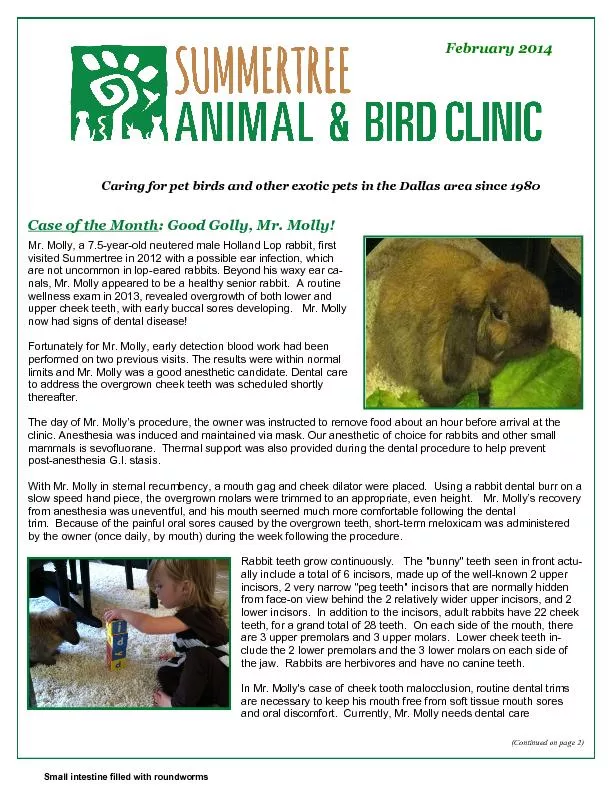 Caring for pet birds and other exotic pets in the Dallas area since 19