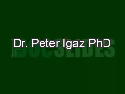Dr. Peter Igaz PhD