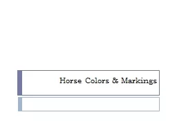 Horse Colors & Markings
