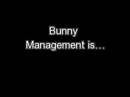 Bunny Management is…