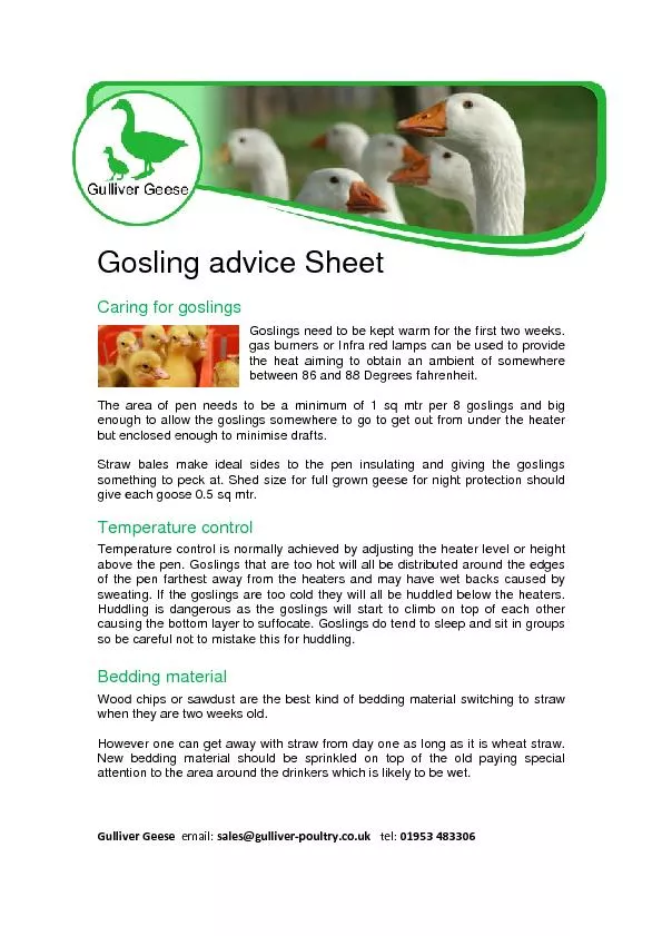 Gulliver Geese  email: sales@gulliver-poultry.co.uk   tel: 01953 48330