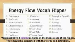 Energy Flow Vocab Flipper