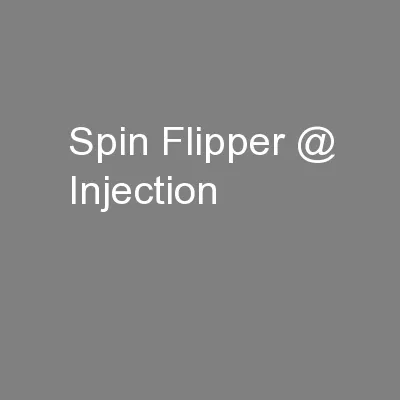 Spin Flipper @ Injection