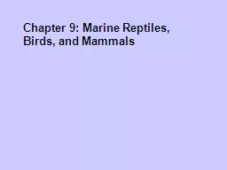 Chapter 9: Marine Reptiles, Birds, and Mammals