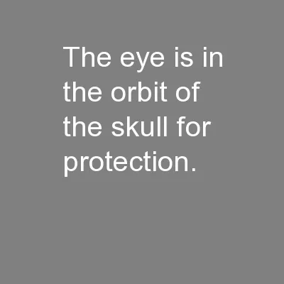 The eye is in the orbit of the skull for protection.