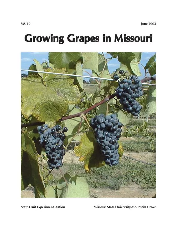 Growing Grapes in MissouriGrowing Grapes in MissouriGrowing Grapes in