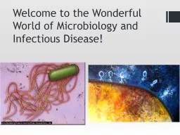 Welcome to the Wonderful World of Microbiology and Infectio
