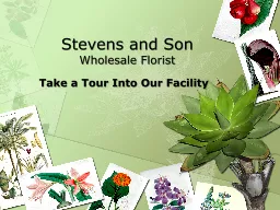 Stevens and Son