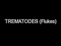 TREMATODES (Flukes)