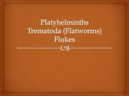 Platyhelminths