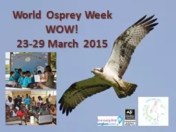 World Osprey Week