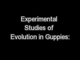 Experimental Studies of Evolution in Guppies: