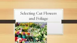 Selecting Cut Flowers and Foliage