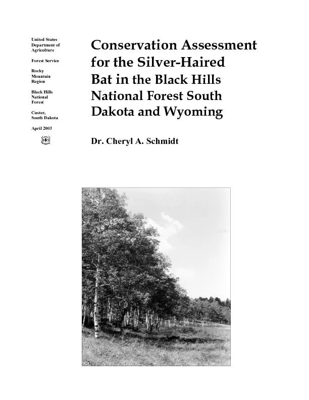 Conservation Assessment for the Silver-Haired  Bat in the Black Hills