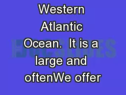 waters of the Western Atlantic Ocean.  It is a large and oftenWe offer