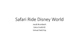 Safari Ride Disney World