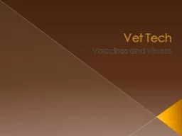Vet Tech