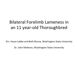 Bilateral Forelimb Lameness in an 11 year-old Thoroughbred