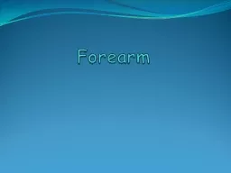 Forearm